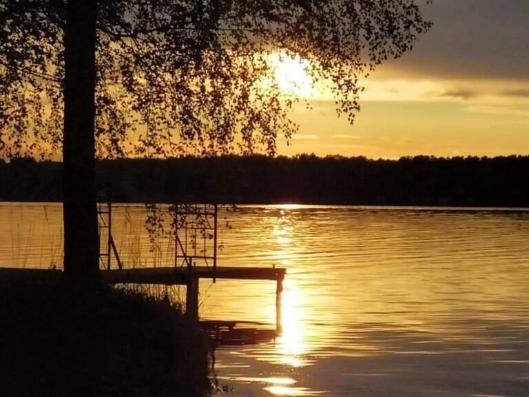 Baza harcerska Stanica Harcerska Hufca ZHP Łódź Widzew w Zarzęcinie w Zarzęcin