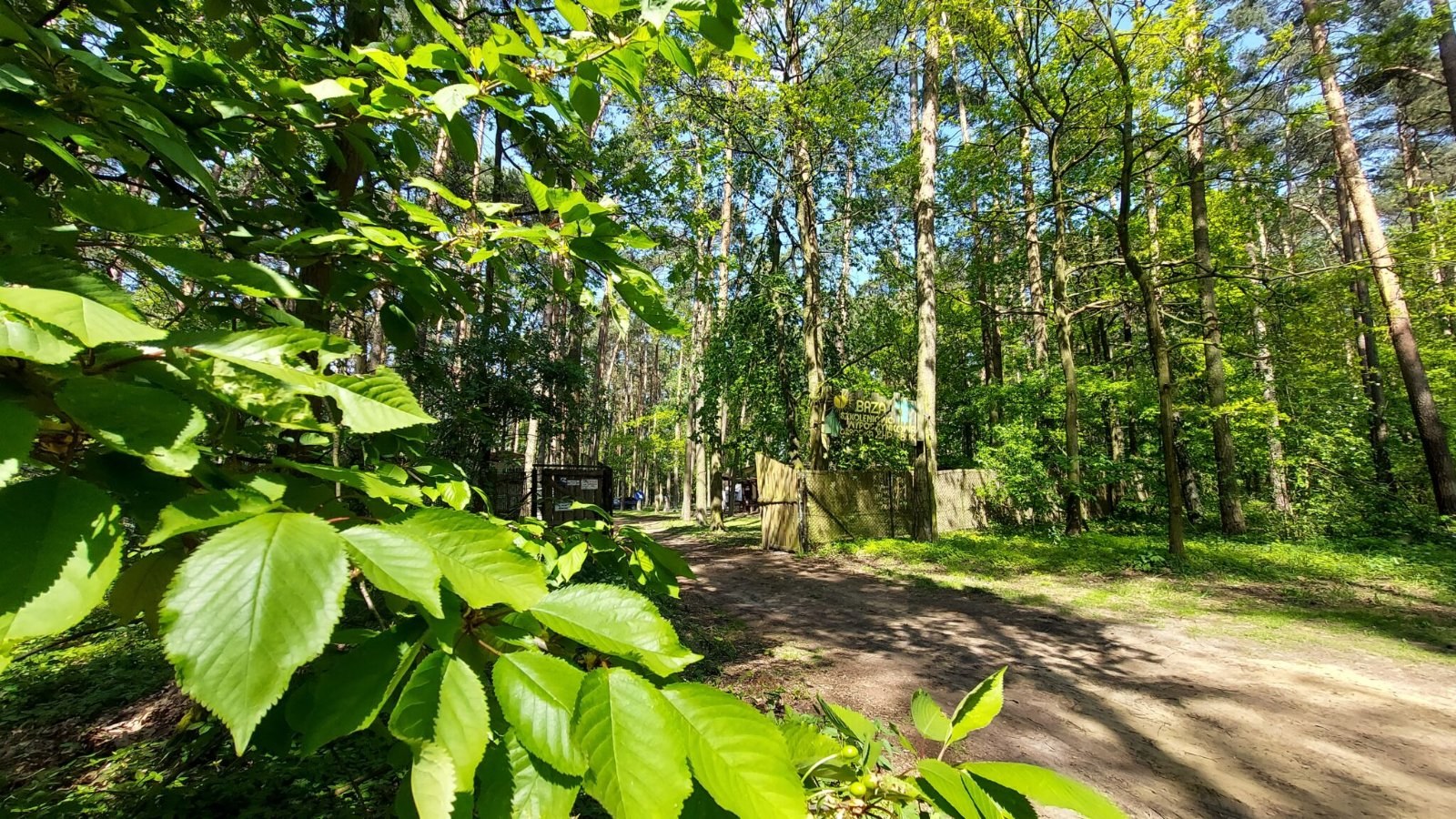 Baza Obozowa ZHP w Rybojedzku