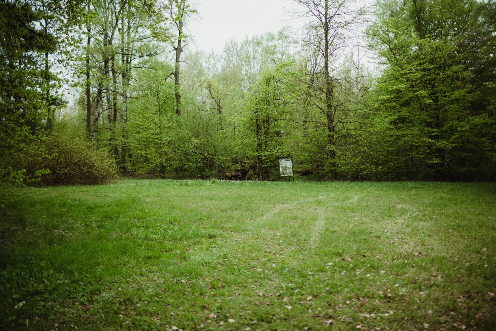 Baza Harcerska w Małeczu