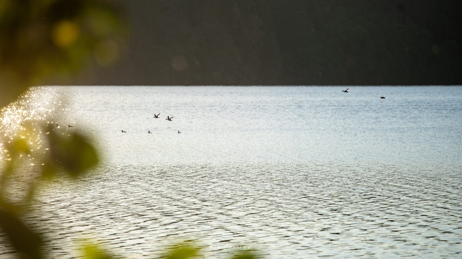 Harcerska Baza Obozowa w Czernicy